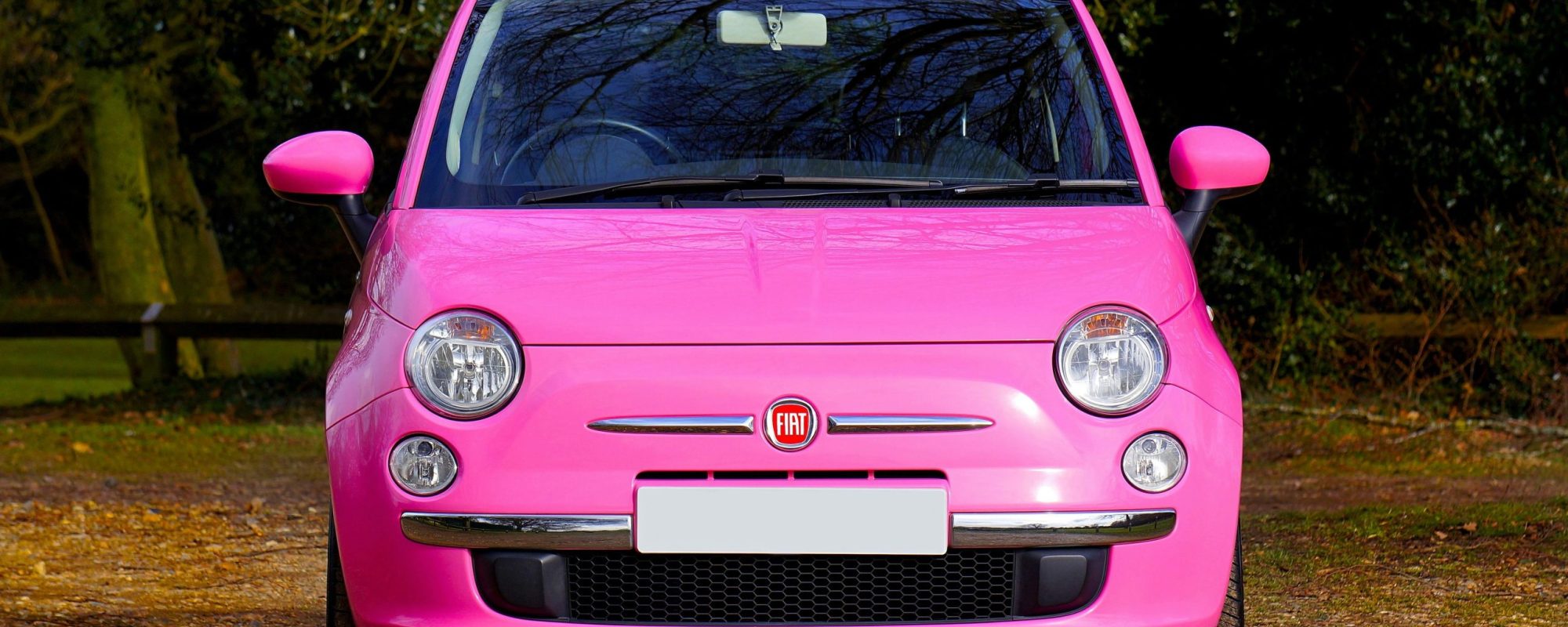 A vibrant pink Fiat 500 car parked outdoors surrounded by greenery and trees. by Mike Bird